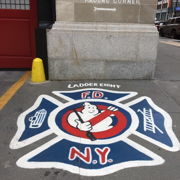 Phoenix 20 Years Old - Picture 4 of 7